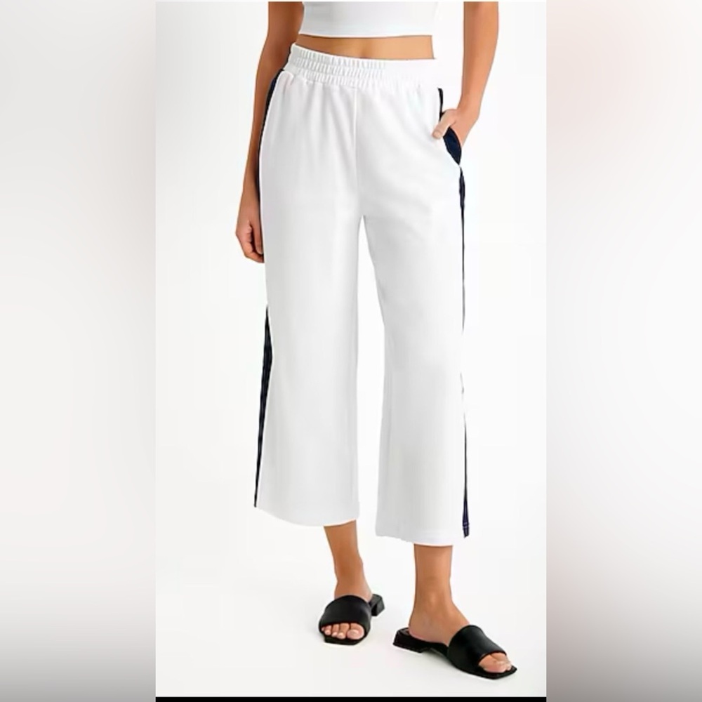 Express Side Stripe Cropped Wide Leg Pants